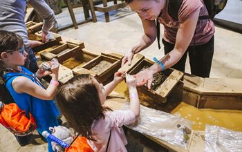 Educazione ambientale: il nuovo bando del MASE per proteggere il futuro tra banchi e natura
